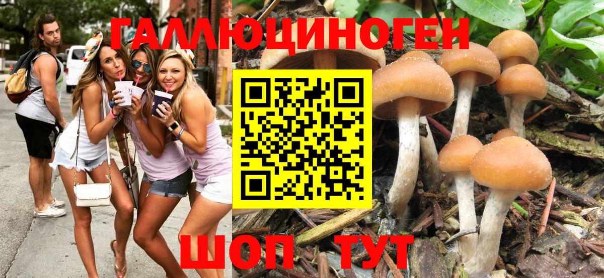 Елизово  Псилоцибиновые грибы ЛСД  где продают   Вход с VPN 